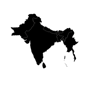 SOUTH ASIAN